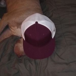 Aflex The Game hat